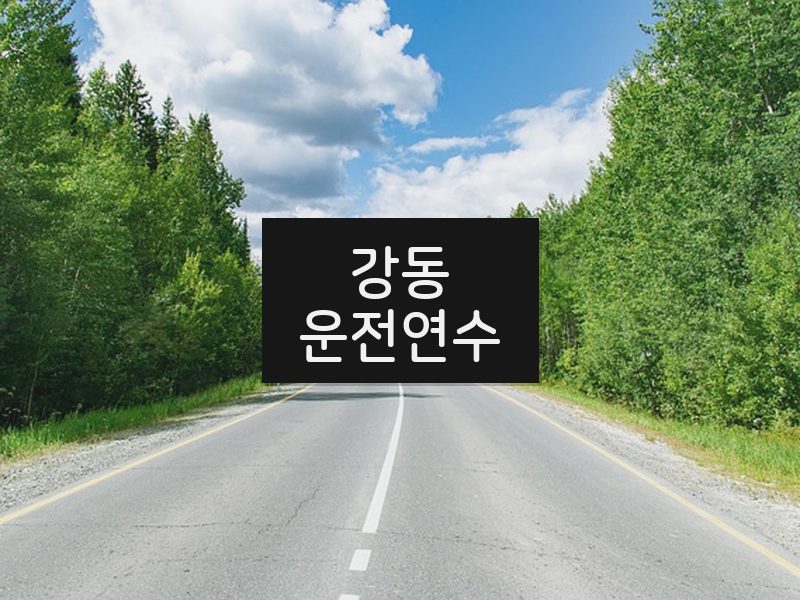 강동운전연수 후기