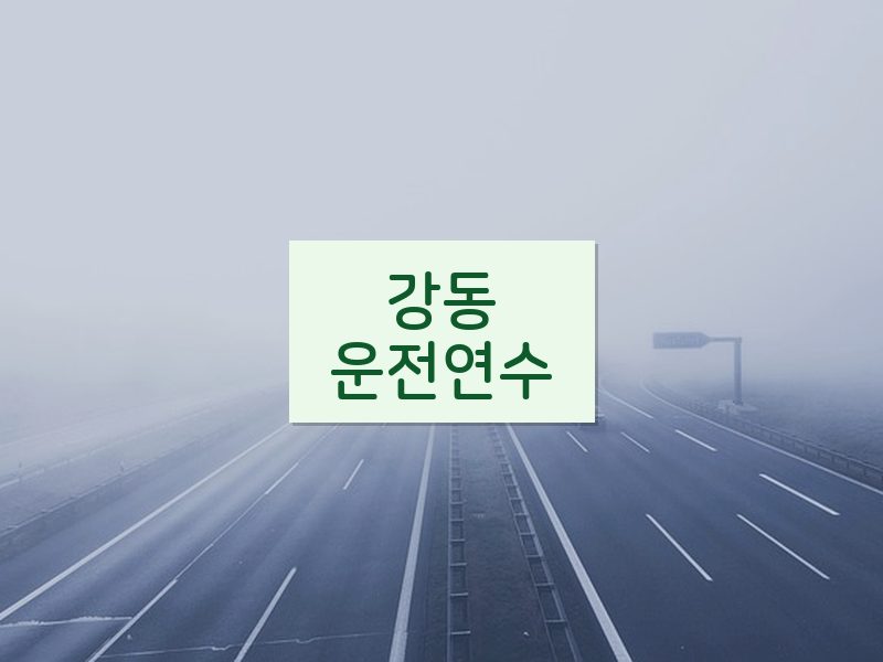 강동운전연수 후기