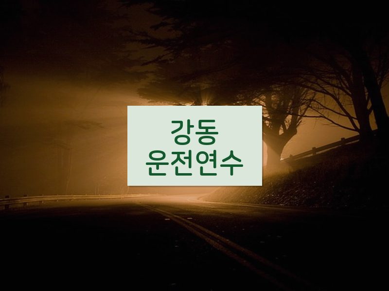 강동운전연수 후기
