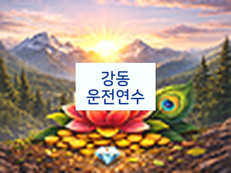 강동운전연수 후기