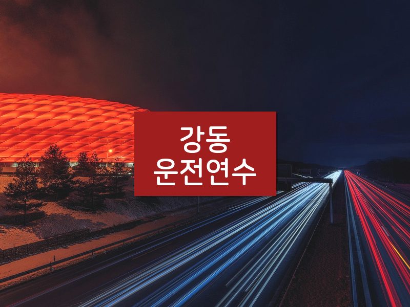 강동운전연수 후기