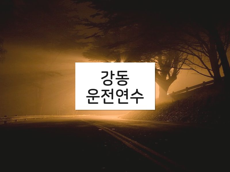 강동운전연수 후기