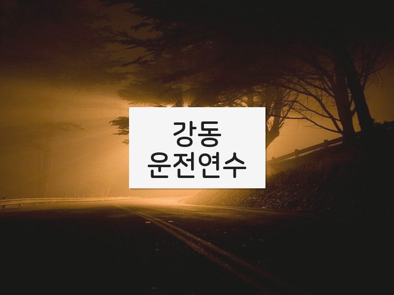 강동운전연수 후기