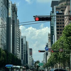 마트 장보기 운전