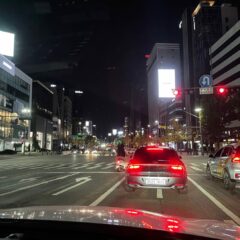 30대 장롱면허 졸업!