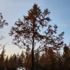 초보 탈출 2주 후기