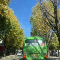 운전이 이렇게 쉬웠다니