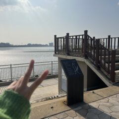 택시 이용보다 편한 운전