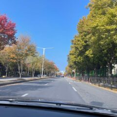 긴급 상황 대처 연습