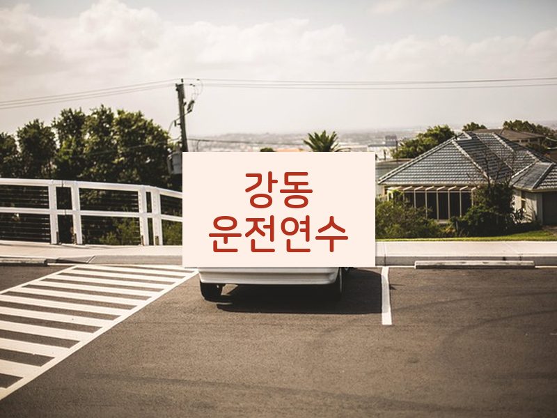 강동운전연수 후기