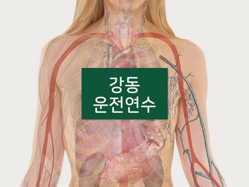 강동운전연수 후기