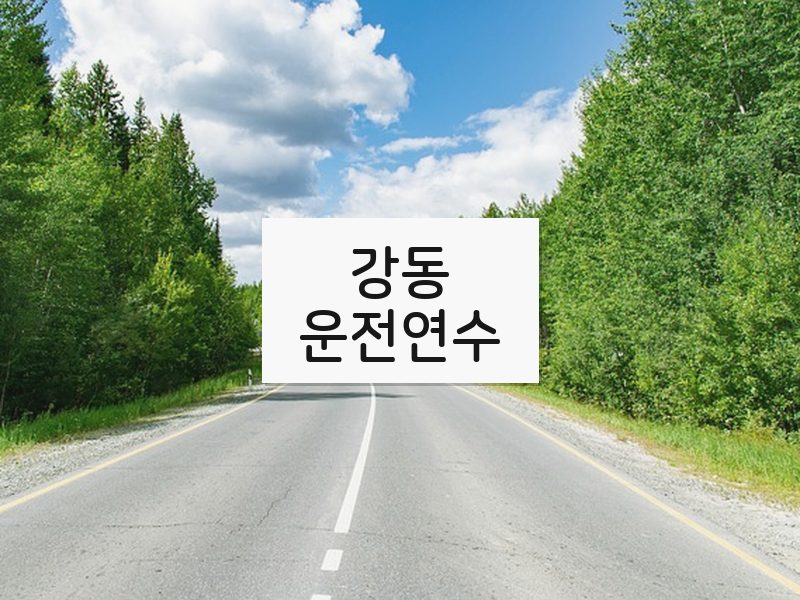 강동운전연수 후기