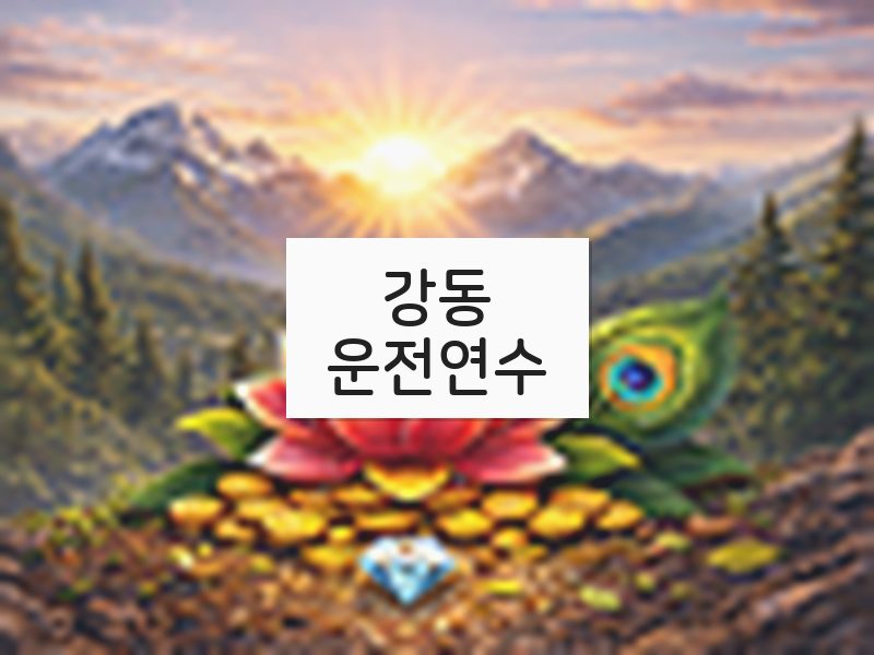 강동운전연수 후기