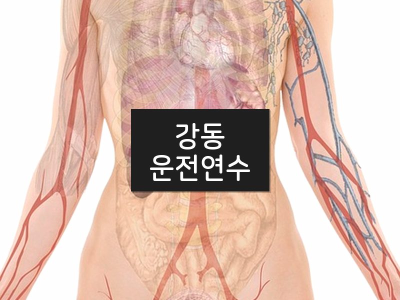 강동운전연수 후기