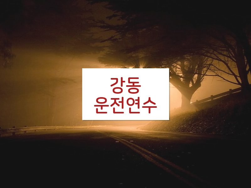 강동운전연수 후기